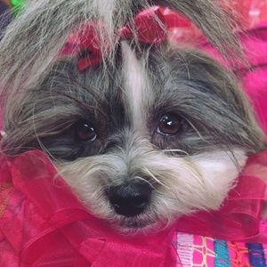 Meet your Posher, Kimberly